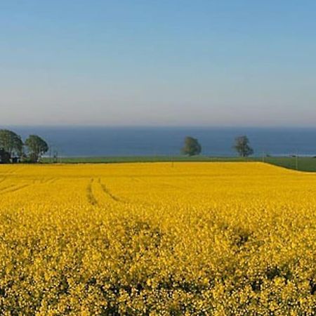 Charmig Liten Laegenhet Pa Oesterlen Sankt Olof ภายนอก รูปภาพ